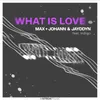 About What Is Love Song