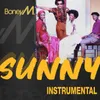 About Sunny Instrumental Song