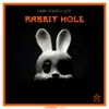 About Rabbit Hole Song