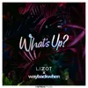 About What's Up? Song