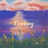 About Dreaming Song