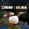 About Lundinn Í Dalnum Song
