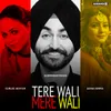 About Tere Wali Mere Wali Song