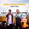 About Feel Something Song