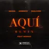 About Aquí (Remix) Song