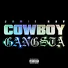 About COWBOY GANGSTA Song