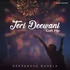 About Teri Deewani (Lofi Flip) Song