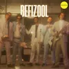 About Befizool Song