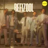 Befizool