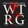 Where The Roses Grow VIZE & NOØN Remix