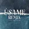 About Úsame Remix Song