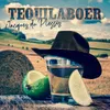 Tequilaboer