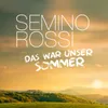 About Das war unser Sommer (Don't Let Me Be Misunderstood / Esmeralda Suite) Song