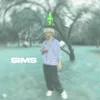 About sims Song
