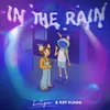 About In The Rain Song