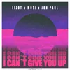 About I Can't Give You Up Song