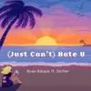 About (Just Can't) Hate U Song