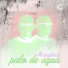 About Palo de Agua Song