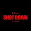 About Shot Down Song