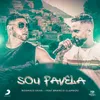 About Sou Favela Song