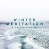 About Winter Meditation (after The Four Seasons, Violin Concerto, RV 297: II. Largo) Song