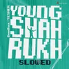 About Young Shahrukh Slowed Song