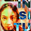 About In Situ (Remix Version) Song