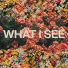 About What I See Song