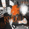 About Roadkill Song