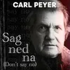 About SAG NED NA (Don't Say No) Song