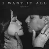 About I Want It All Song