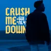 About Crush Me Down Song