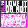 About Love It or Not (feat. Infinite Coles) Vintage Culture Remix Song