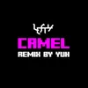 About Camel REMIX by YUH Song