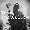 About Backdoor Song