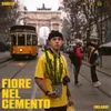 About Fiore nel cemento (Milano) Song