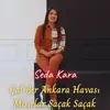 About Çal Bir Ankara Havası & Mısırlar Saçak Saçak Song