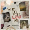 About WHY DO YOU LOVE ME? Song