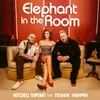 About Elephant in the Room Song