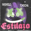 About ESTILAZO Song