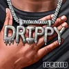 About DRIPPY Song