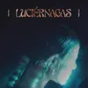 About Luciérnagas Song