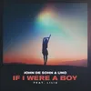 About If I Were a Boy Song