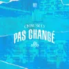 About Pas changé Song