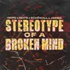 About Stereotype Of A Broken Mind Song