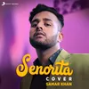 About Senorita Cover Version Song