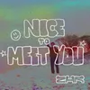 About Nice 2 Meet You Song