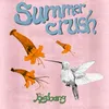 About Summercrush Song