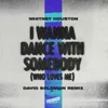 I Wanna Dance with Somebody (Who Loves Me) David Solomon Remix