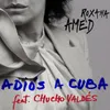 About Adiós a Cuba Song